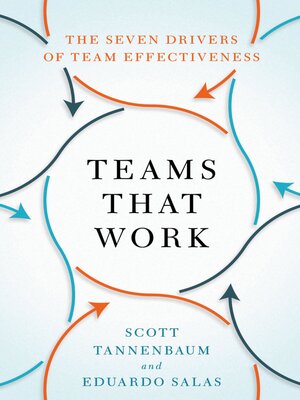 Teams That Work - ebook